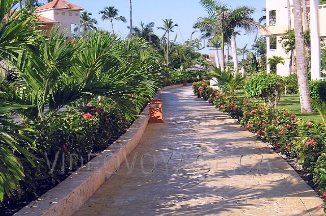 Republique Dominicaine Punta Cana Gran Bahia Principe Un pequeño sendero entre los edificios que habritent habitaciones.