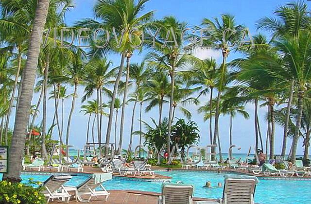 Republique Dominicaine Punta Cana Barcelo Bavaro Palace Deluxe Palm trees on a day with little wind.