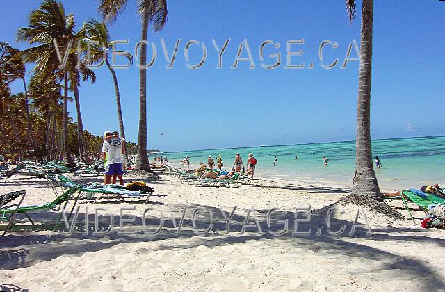 Republique Dominicaine Punta Cana Barcelo Bavaro Palace Deluxe The beach of the Barcelo complex. The beach is quite deep between the sea and the first palm tree. The beach under palm trees is very deep.