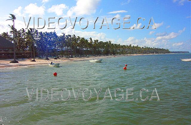 Republique Dominicaine Punta Cana Barcelo Bavaro Palace Deluxe The beach of the Barcelo Bavaro Beach extends for over a kilometer. A photograph during a period of abundant algae.