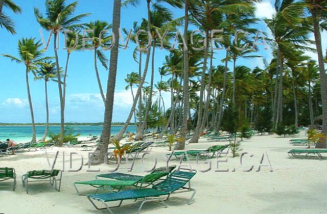 Republique Dominicaine Punta Cana Barcelo Bavaro Palace Deluxe The portion of the beach under the palm is very wide.