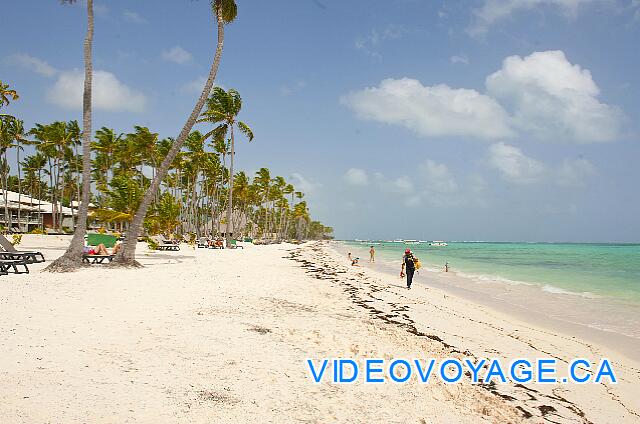 Republique Dominicaine Punta Cana Barcelo Bavaro Palace Deluxe Il est possible de marcher sur la plage plus de 15 kilomètres vers le nord...