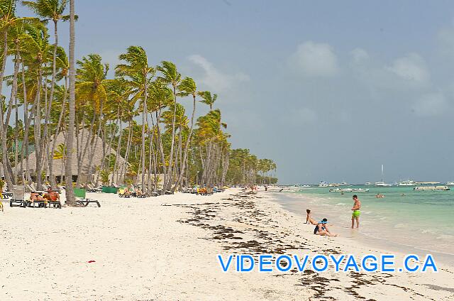 Republique Dominicaine Punta Cana Barcelo Bavaro Palace Deluxe De nombreux marcheurs en haute saison sur la plage.