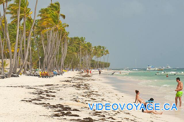 Republique Dominicaine Punta Cana Barcelo Bavaro Palace Deluxe Une plage qui semble ne jamais terminer.