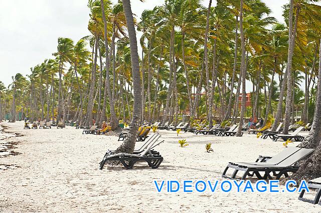 Republique Dominicaine Punta Cana Barcelo Bavaro Palace Deluxe In the other direction, walking on the beach is shorter.