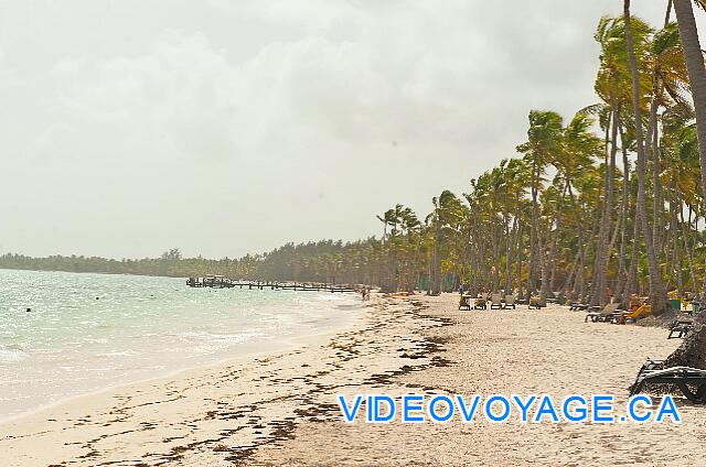 Republique Dominicaine Punta Cana Barcelo Bavaro Palace Deluxe The beach disappears for a few kilometers and then come back, but you can still walk about 10 kilometers to the south.