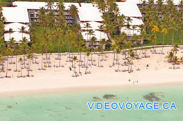 Republique Dominicaine Punta Cana Barcelo Bavaro Palace Deluxe A deep beach, with palm trees growing on the beach.