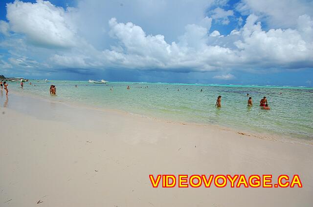 Republique Dominicaine Punta Cana Barcelo Bavaro Caribe La pendiente es débil para entrar en el mar, el mar tranquilo con poca ola, las zonas de algas son fáciles de eludir. No arrecife en el fondo del mar.