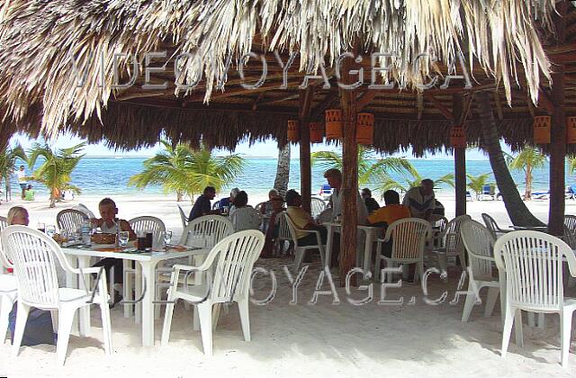Republique Dominicaine Punta Cana Bavaro Beach & Convention Center Cerca de El Pina bar, muchas mesas y sillas bajo grandes sombrillas en la playa. Una hermosa vista!