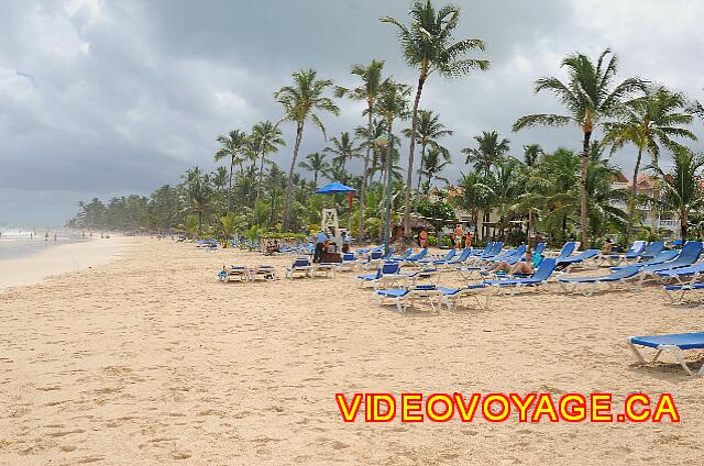 Republique Dominicaine Punta Cana Punta Cana Les nombreuses chaises longues sur la plage...