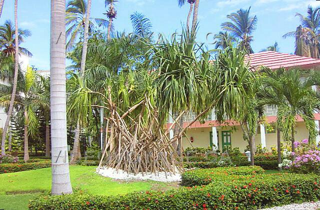 Republique Dominicaine Punta Cana Vista Sol Punta Cana En el sitio, el paisaje está muy bien mantenido.