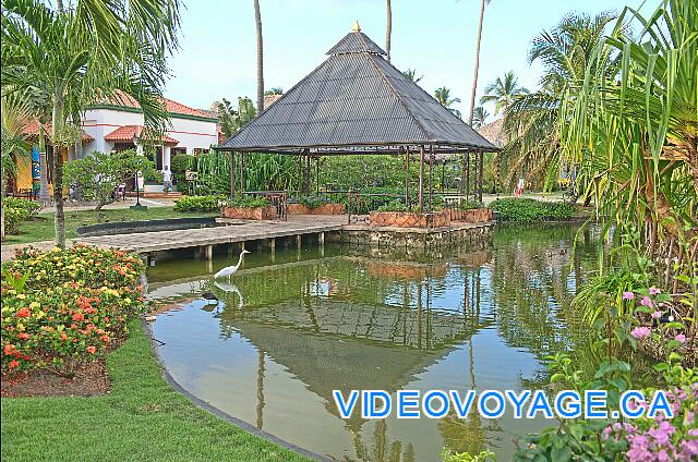 Republique Dominicaine Punta Cana Club Caribe The main gazebo for weddings located in the center of a pond.