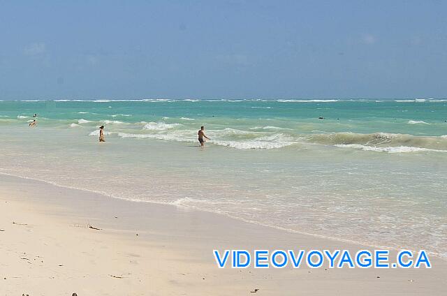 Republique Dominicaine Punta Cana Club Caribe The waves are often smaller, depending on the wind strength and wind direction. No algae in the sea front 100 meters, there are too deep to reach water deep in the water when there is algae at the bottom.