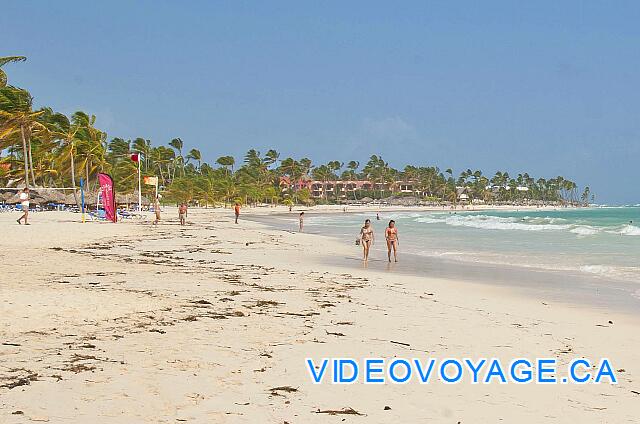 Republique Dominicaine Punta Cana Club Caribe Il y a toujours des marcheurs sur la plage, même très tôt le matin.