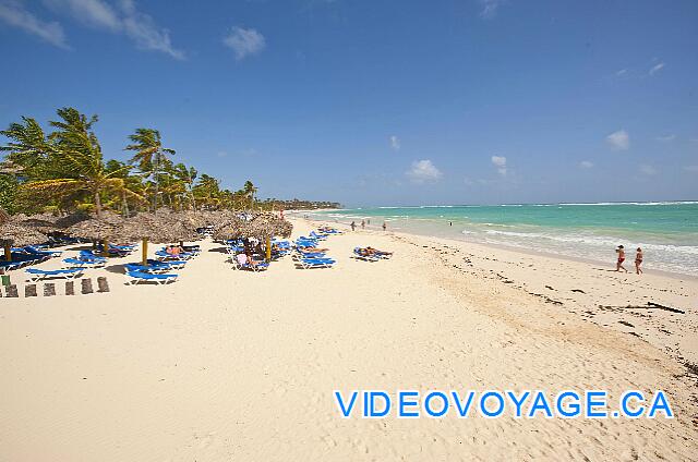 Republique Dominicaine Punta Cana Club Caribe A fairly deep beach.