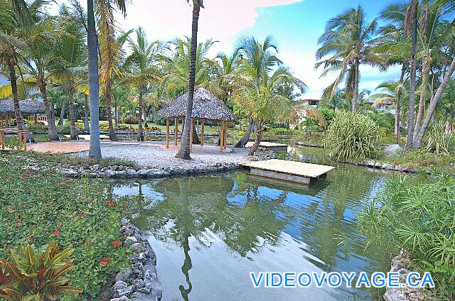 République Dominicaine Punta Cana Catalonia Bavaro Un gazebo para bodas está disponible con una bella decoración.