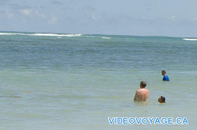 République Dominicaine Punta Cana Catalonia Bavaro Una suave pendiente para entrar en el mar, olas pequeñas, ningún fondo de arrecife.