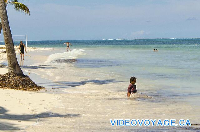 République Dominicaine Punta Cana Catalonia Bavaro Para los clientes que gustan de un mar en calma en una playa con poco paso.