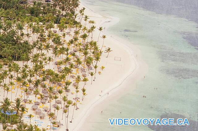 République Dominicaine Punta Cana Catalonia Bavaro Una playa de profundidad con un montón de tumbonas, palapas y palmeras.