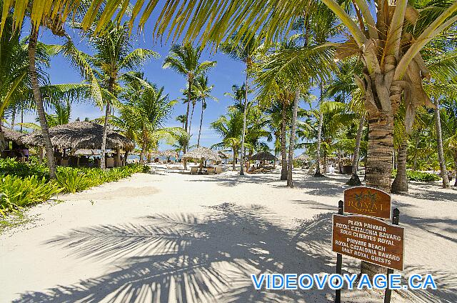 République Dominicaine Punta Cana Catalonia Bavaro A la llegada en la playa, una playa muy profundo.