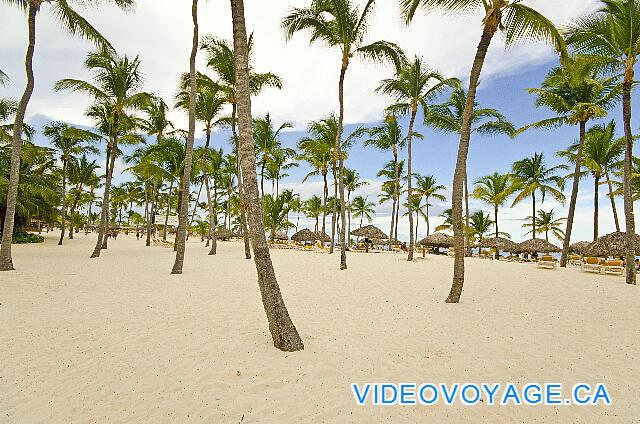 République Dominicaine Punta Cana Catalonia Bavaro Espacio en la playa.