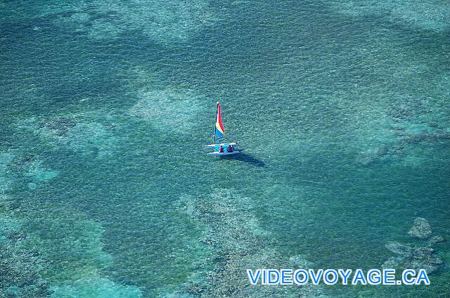 République Dominicaine Punta Cana Catalonia Bavaro Royal Un catamarán en el frente