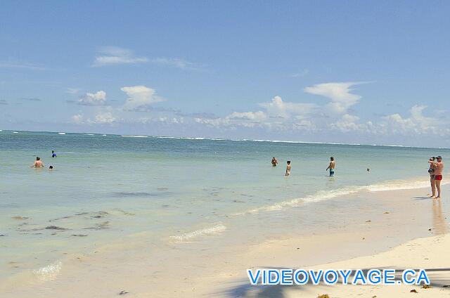 République Dominicaine Punta Cana Catalonia Bavaro Royal La pendiente en el mar es suave. El mar está en calma, el arrecife de ser eficaz.