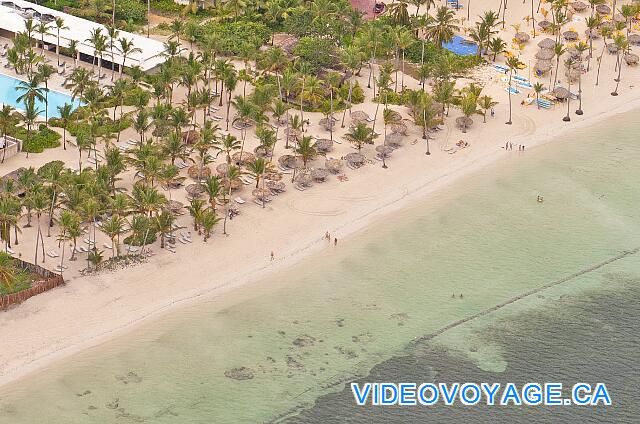 République Dominicaine Punta Cana Catalonia Bavaro Royal La playa del hotel, un remanso de paz. Una zona de baño delimitada por las carrozas. Las palmeras que crecen en la playa, a unos 30 palapas en la playa.