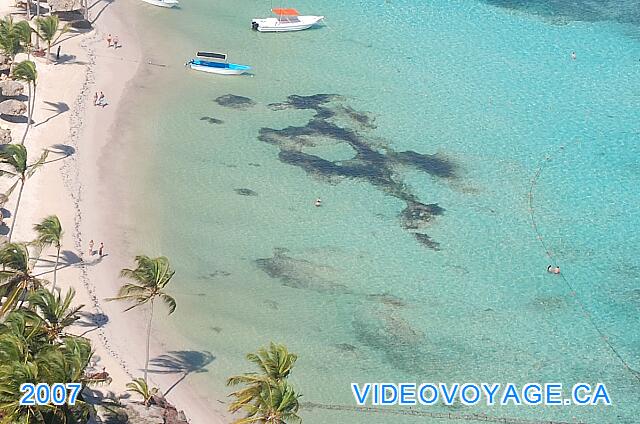 République Dominicaine Punta Cana Catalonia Bavaro Royal Hubo menos de algas en el mar.