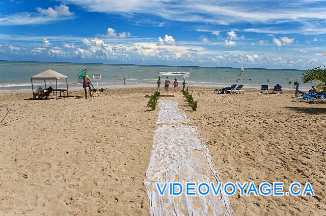 République Dominicaine Punta Cana Dreams Punta Cana En un camino blanco