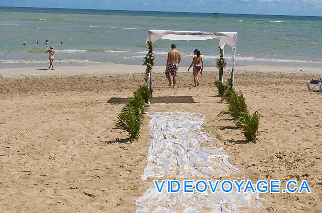 République Dominicaine Punta Cana Dreams Punta Cana On a white path