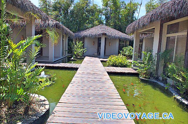 République Dominicaine Punta Cana Dreams Punta Cana The various services are available in several small villas, adding charm to the SPA.