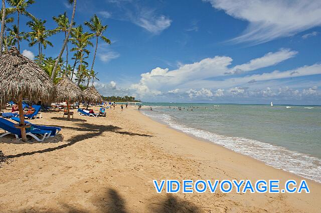 République Dominicaine Punta Cana Dreams Punta Cana Parfois moins de distance entre les palapas et l'océan.