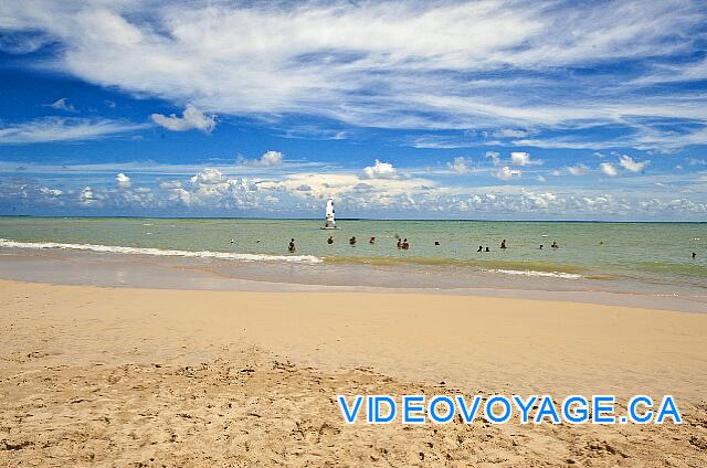 République Dominicaine Punta Cana Dreams Punta Cana La plage est populaire, même si la piscine est attirante.