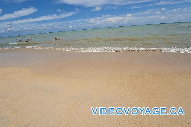 République Dominicaine Punta Cana Dreams Punta Cana Un día con pequeñas olas.