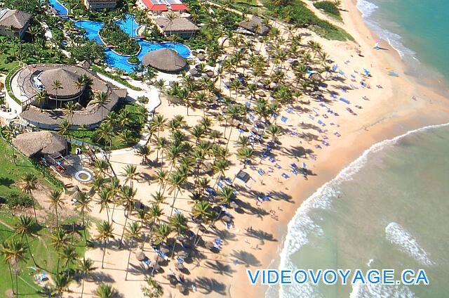 République Dominicaine Punta Cana Dreams Punta Cana Une vue aérienne de la plage de l'hôtel, de nombreux palmiers sur la plage, une section club, ...