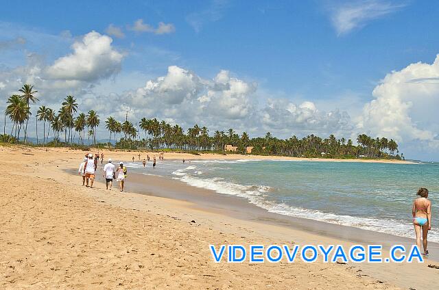 République Dominicaine Punta Cana Dreams Punta Cana Il y a beaucoup plus de marcheur qui s'aventure vers le nord.