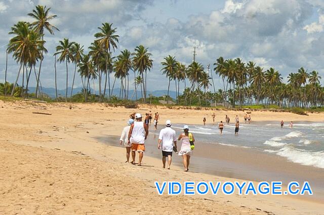 République Dominicaine Punta Cana Dreams Punta Cana De beaux paysages avec les palmiers et les montagnes.