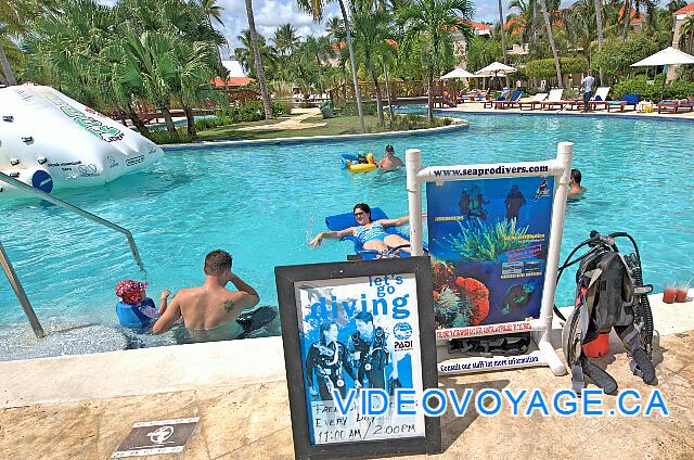 République Dominicaine Punta Cana Dreams Palm Beach Une introductìon à la plongé sous-marine dans la piscine.