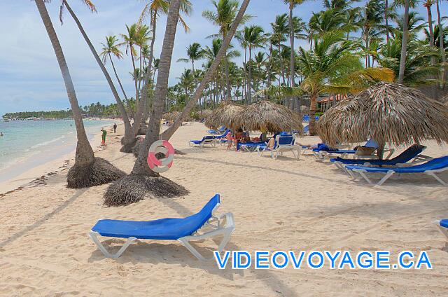 République Dominicaine Punta Cana Dreams Palm Beach Il y a même des équipements pour les sauvetages sur le bord des palmiers, mais ici les vagues sont rarement fortes.