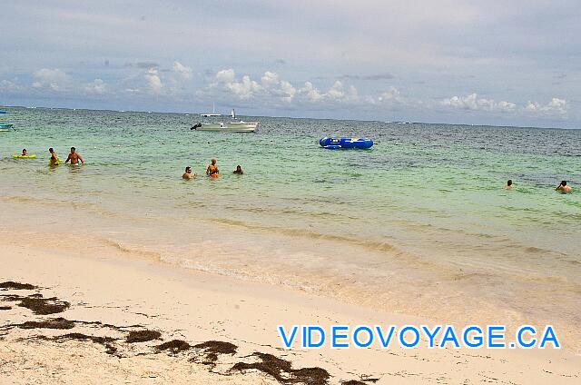 République Dominicaine Punta Cana Dreams Palm Beach Bañistas con agua para el tamaño, la profundidad no aumenta mucho hasta carrozas que definen la zona de baño.