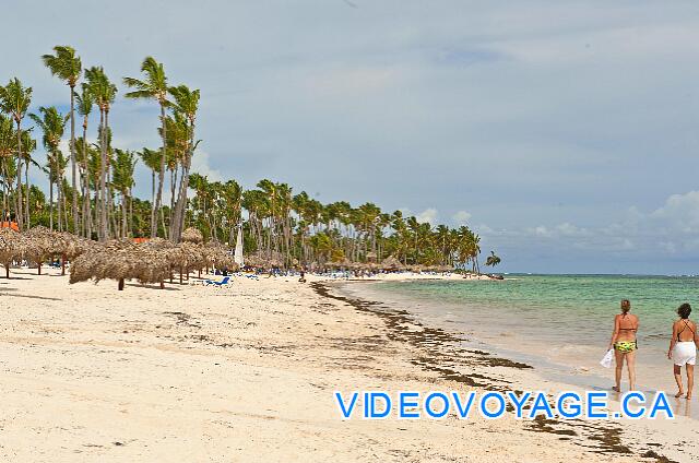 République Dominicaine Punta Cana Dreams Palm Beach Sólo hay un hotel al lado del norte y luego al vacío durante unos pocos kilómetros ...