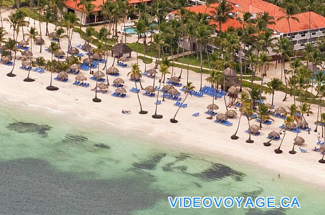 République Dominicaine Punta Cana Dreams Palm Beach Les clients ne s'éloignent pas à plus de 30 mètres du bord habituellement.  Un petit bar directement sur la plage.