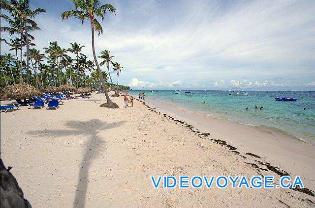 République Dominicaine Punta Cana Dreams Palm Beach Una hermosa playa con un poco de algas, pequeñas olas ideales para familias, muy bueno para bucear a poca distancia del hotel.