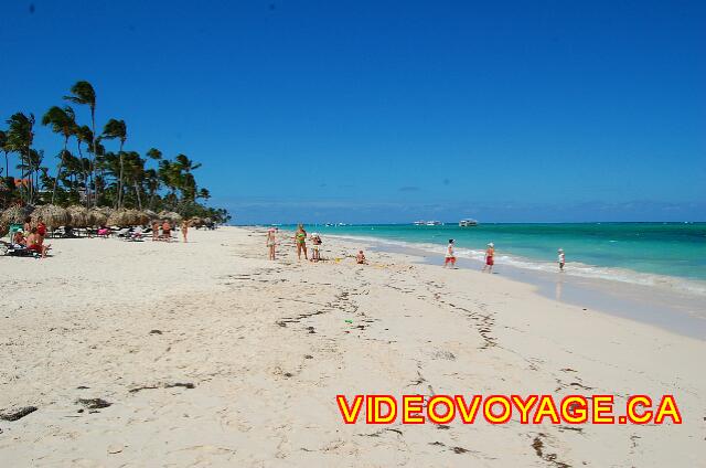 Republique Dominicaine Punta Cana Larimar Punta cana Il y a un peu de dépot d'algue sur la plage.