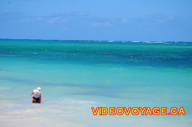 Republique Dominicaine Punta Cana Larimar Punta cana A child playing in the sea.