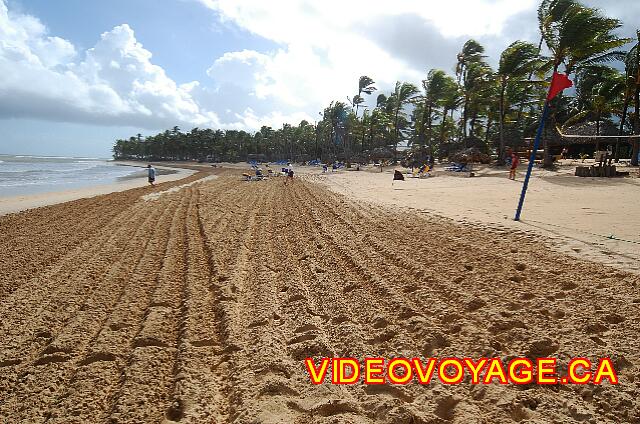 Republique Dominicaine Punta Cana Excellence Punta Cana Une plage profonde, du sable doré.