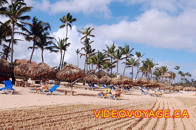 Republique Dominicaine Punta Cana Excellence Punta Cana Many umbrellas, enough chairs, so a long beach a low concentration of customers.