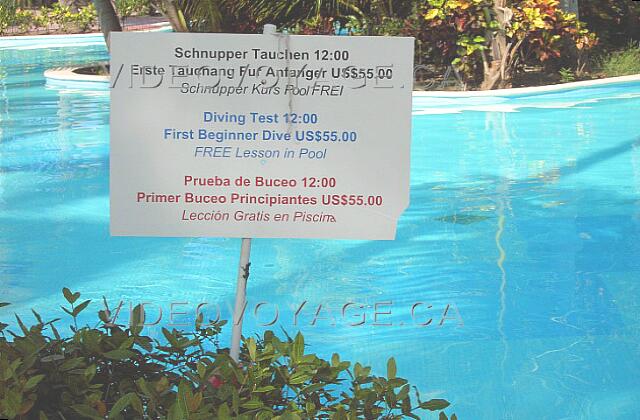 Republique Dominicaine Punta Cana Grand Palladium Punta Cana Res Les coûts des cours de plongé sont clairement indentifié, sauf en français. Un cours de plongé gratuit dans la piscine.  Le test pour la plongé sous-marine est de 12$.