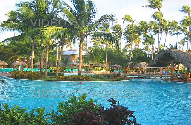 Republique Dominicaine Punta Cana Grand Palladium Palace Resort Un ilôt de verdure dans la piscine.